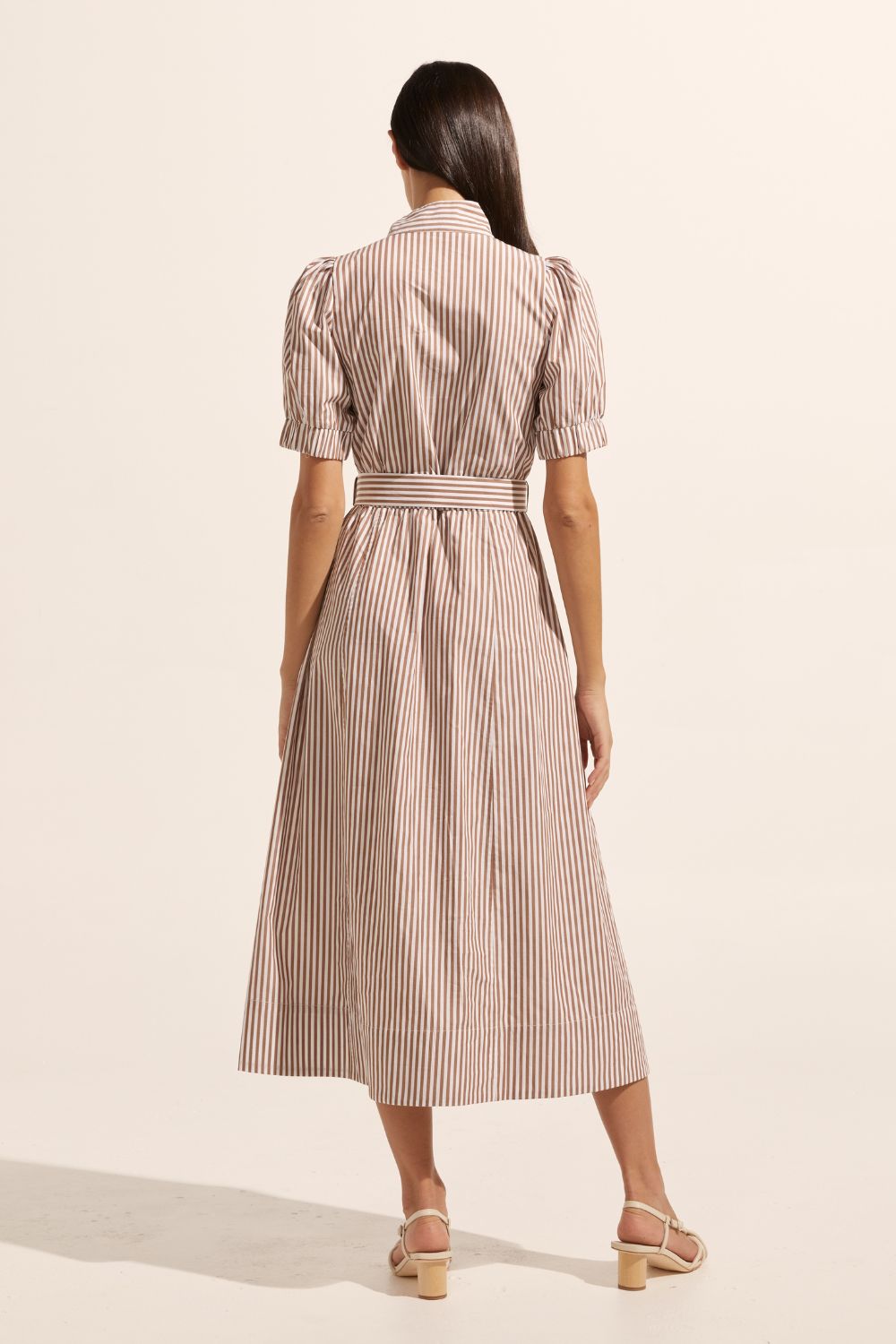 brown and white stripe, dress, high neck, mid length sleeve, fabric belt,  midi dress, side pockets, back image