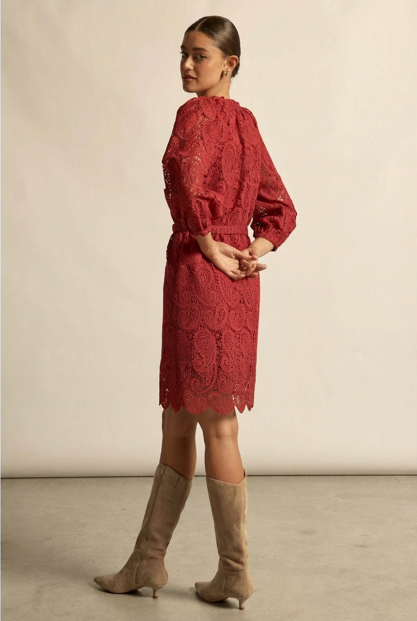 wisp dress - raspberry – zoe kratzmann