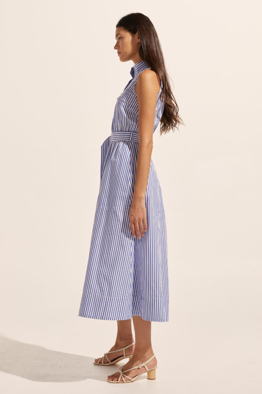 blue and white stripe, high neckline, side pockets, oversized patch pockets, covered placket, d-ring fabric belt, sleeveless, midi dress, side image