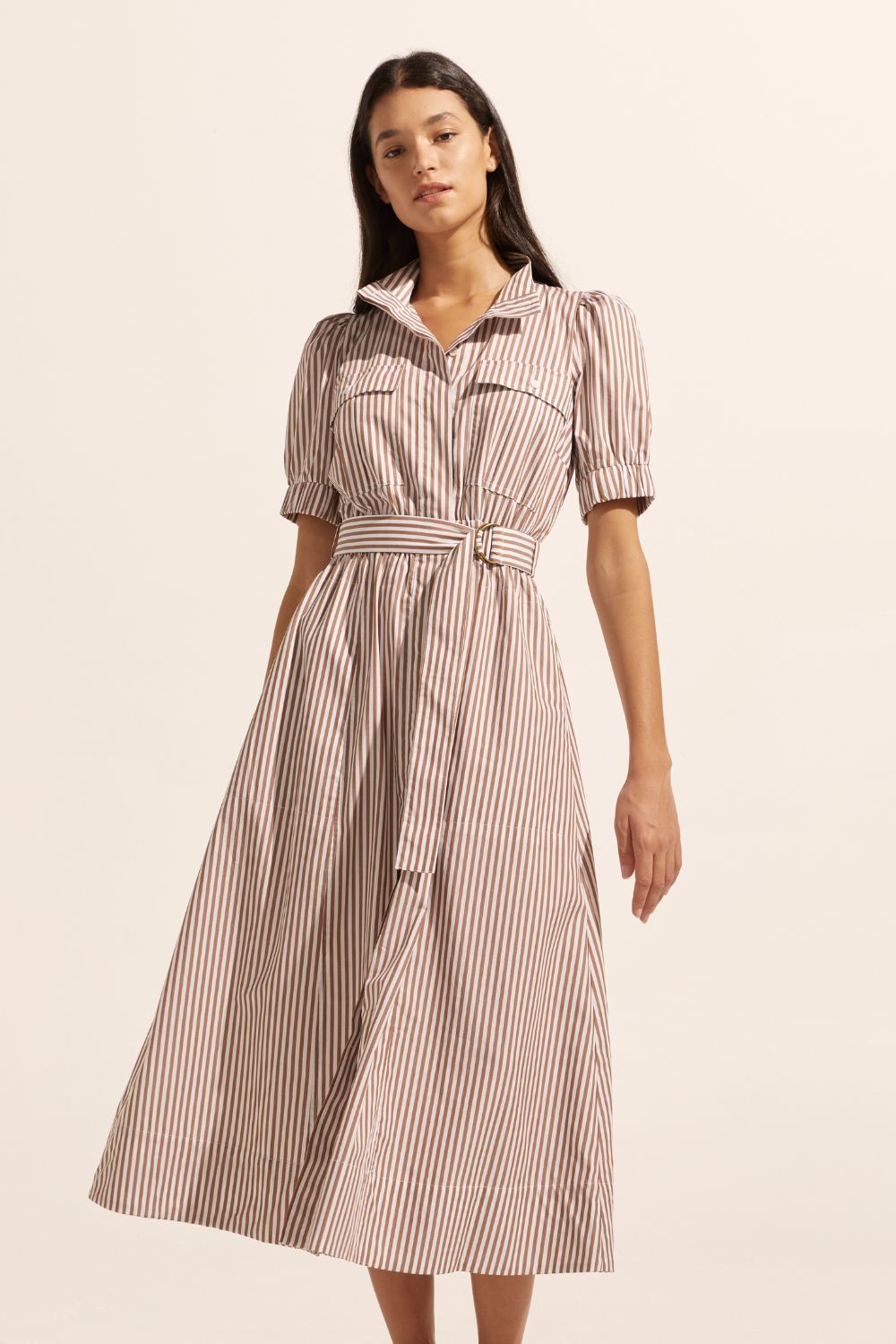 brown and white stripe, dress, high neck, mid length sleeve, fabric belt,  midi dress, side pockets, front image