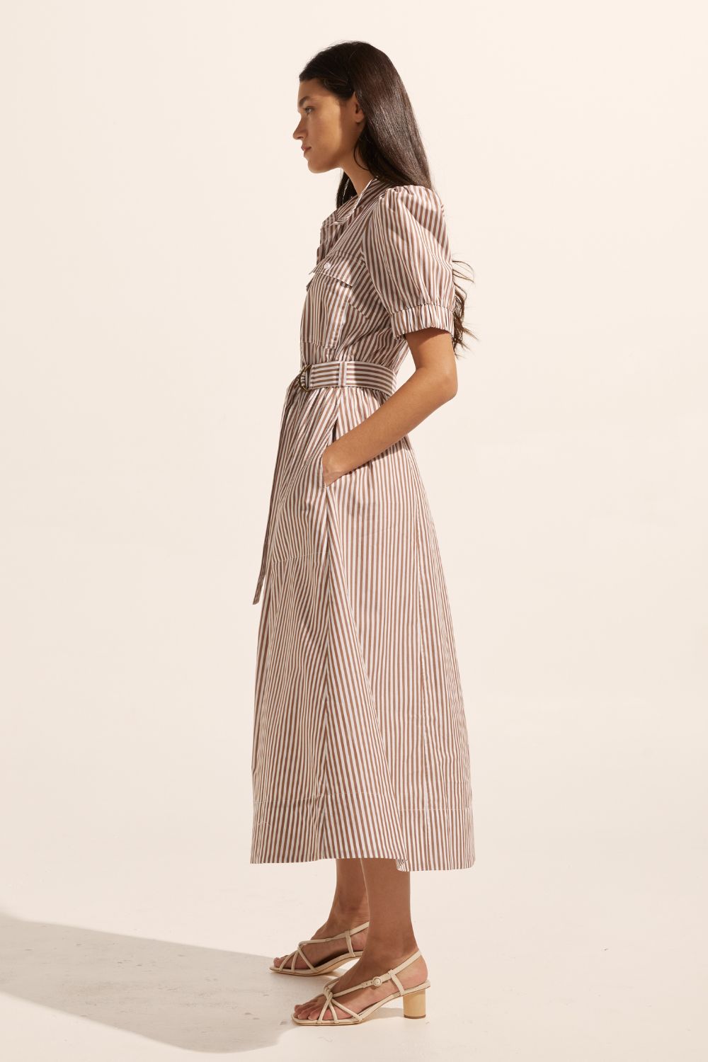 brown and white stripe, dress, high neck, mid length sleeve, fabric belt,  midi dress, side pockets, side image