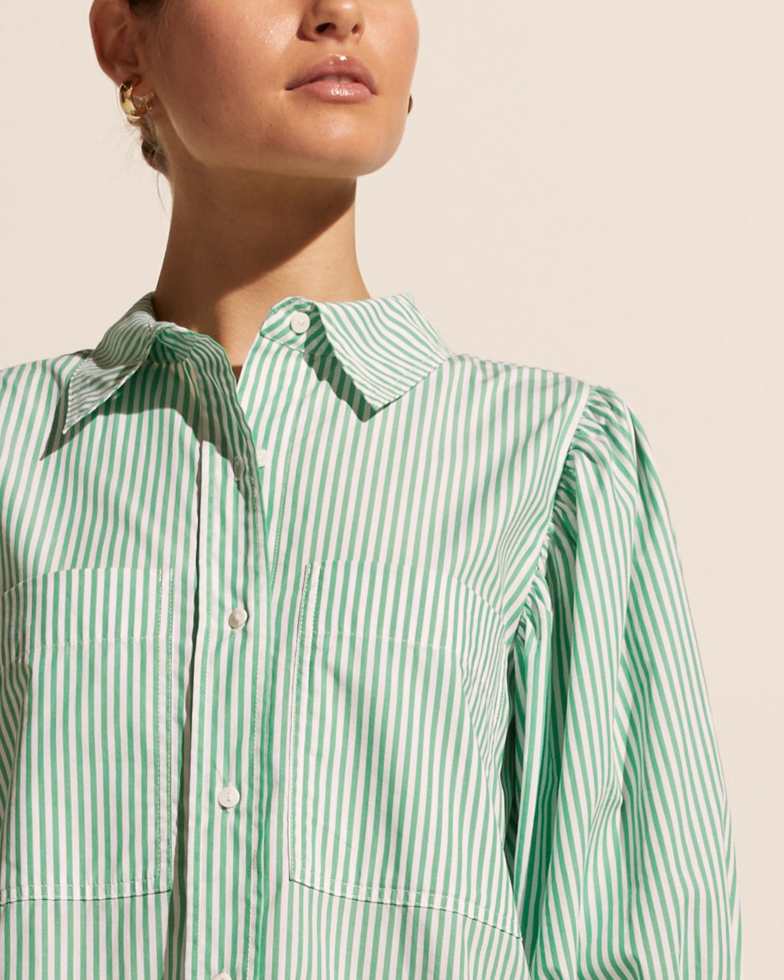 compote top - parakeet stripe