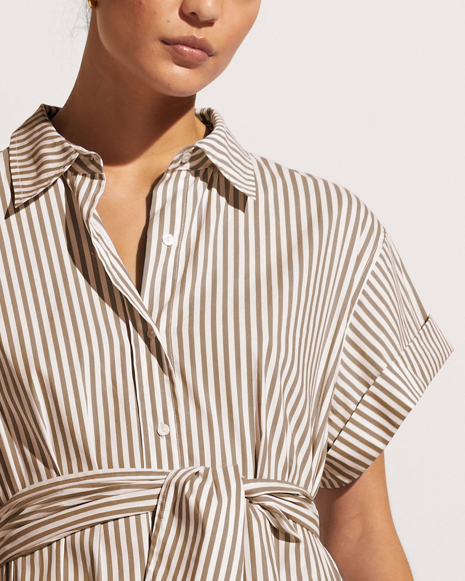 verse dress - clove stripe