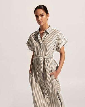 verse dress - clove stripe